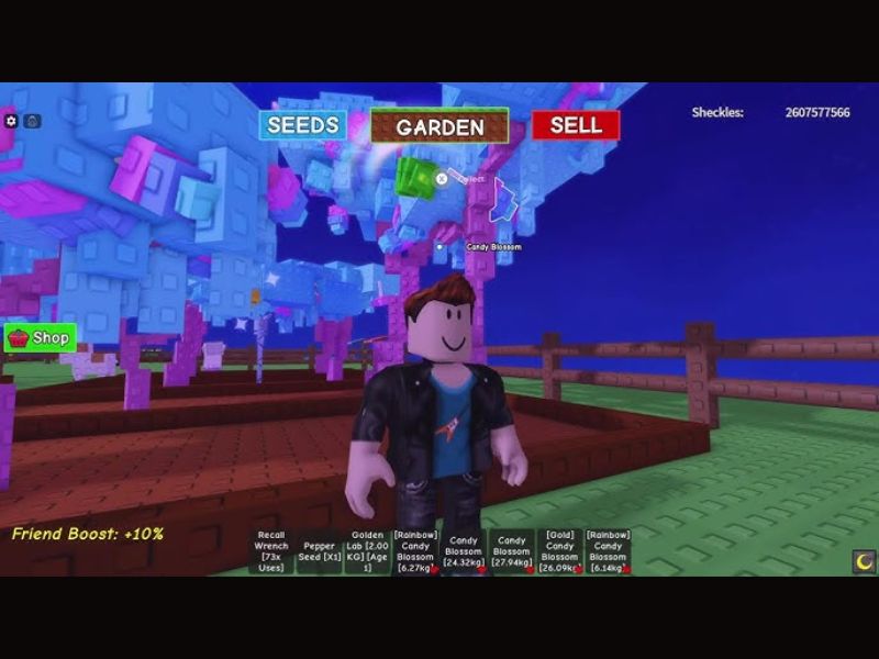 Lấy cây Candy trong Hack Grow A Garden VNG