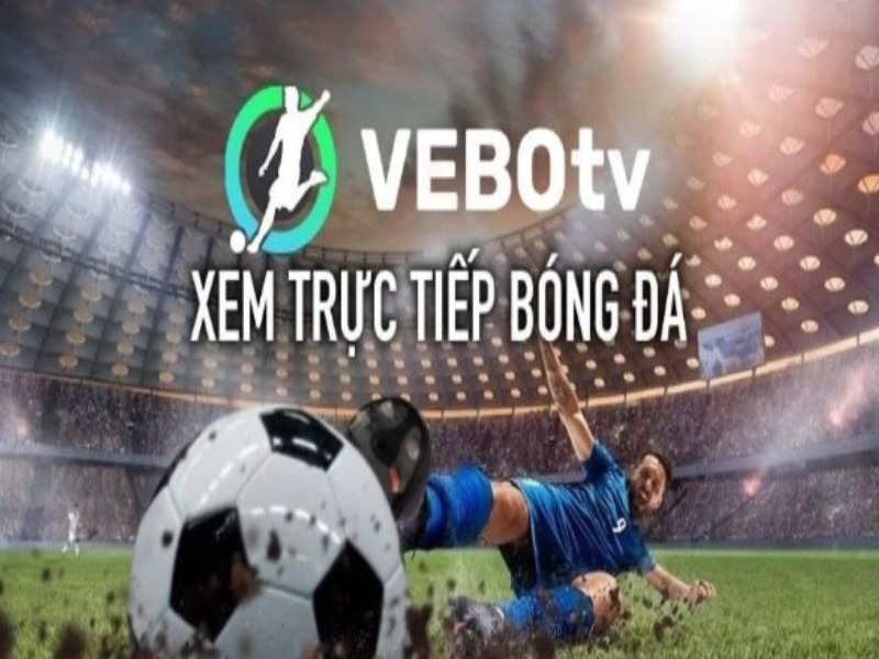 Hướng Dẫn Cài Đặt VeboTV App Apk
