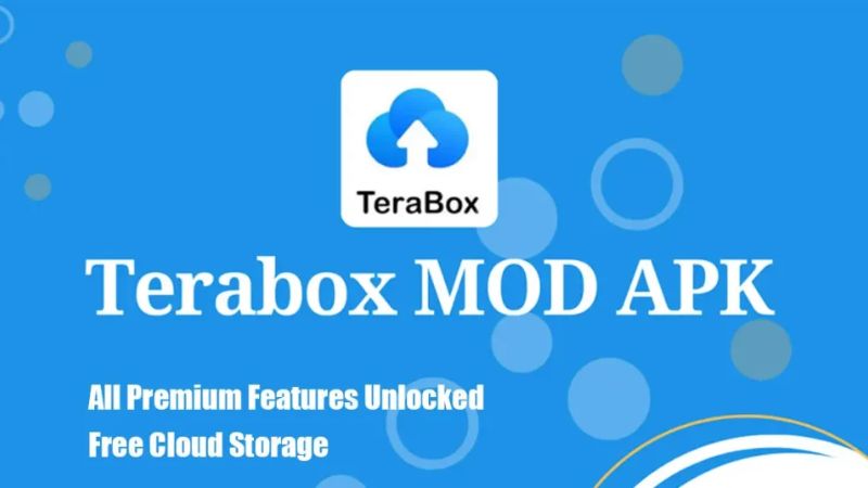 Tính Năng Nổi Bật Trong Terabox Mod APK