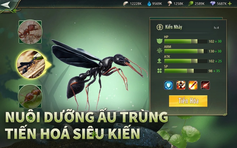 Ấp và phát triển kiến đặc chủng
